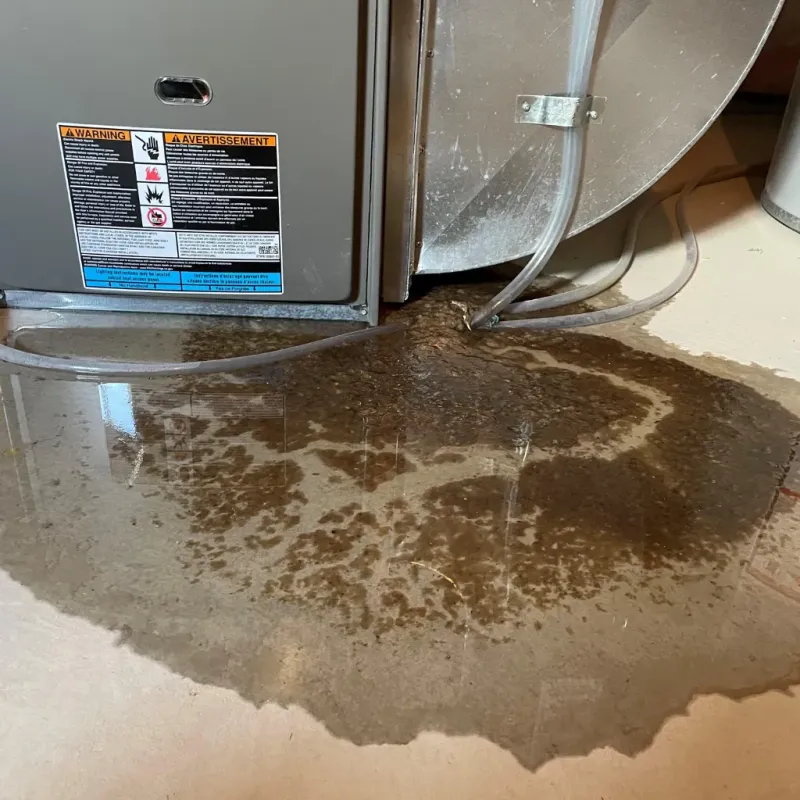 Appliance Leak Cleanup in Berrien Springs, MI